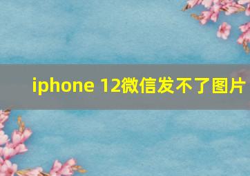 iphone 12微信发不了图片